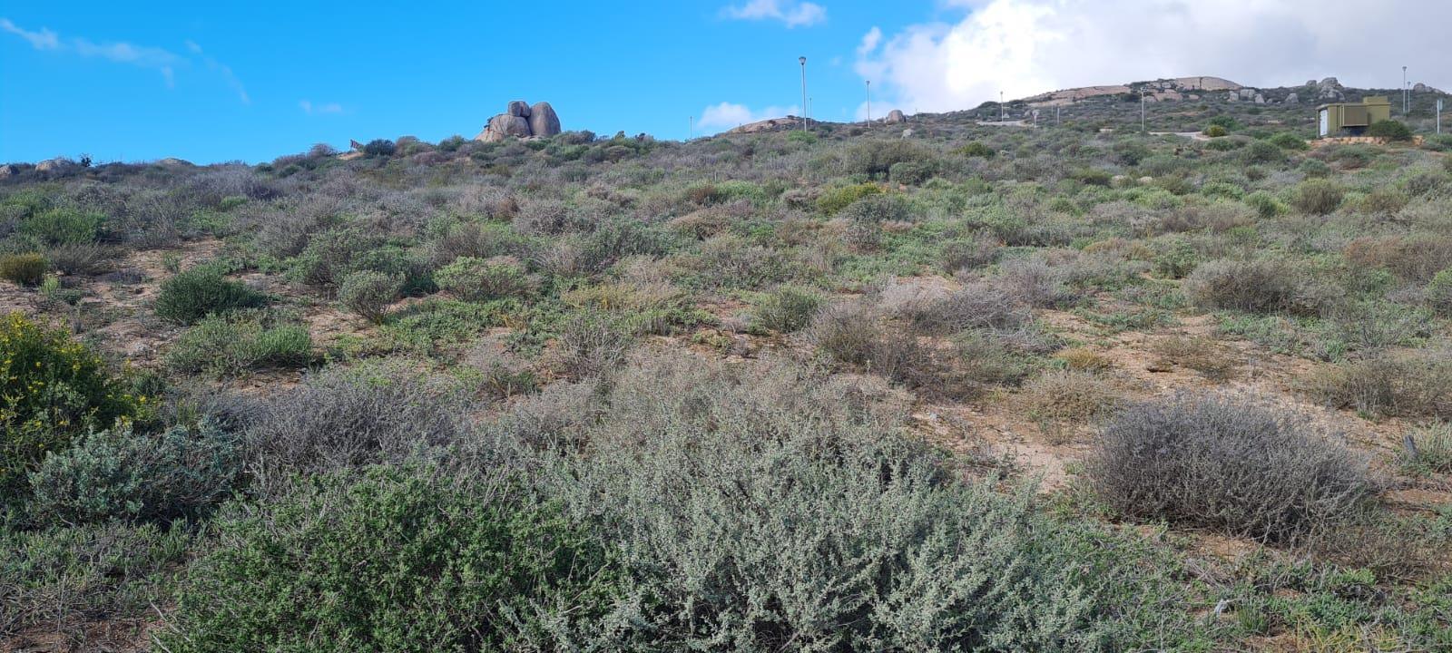 296 m² Land available in St Helena Views