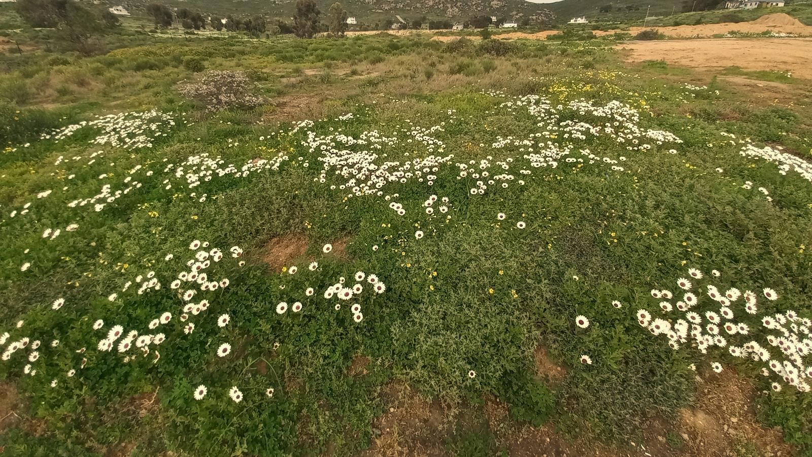308 m² Land available in St Helena Views