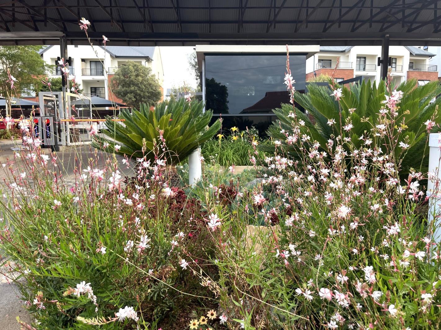 2 Bedroom Apartment in Greenstone Hill