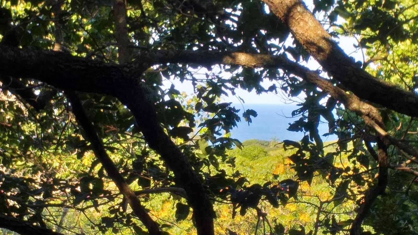 1 259 m² Land available in Hibberdene