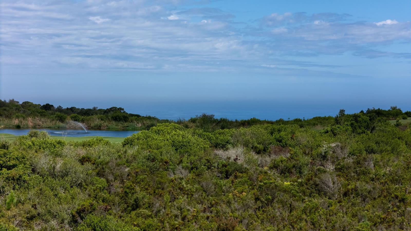 1 246 m² Land available in Pezula Golf Estate