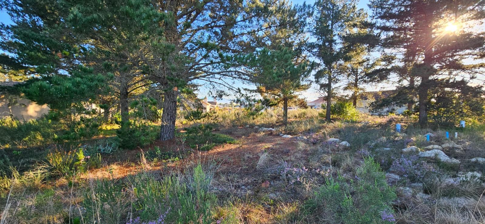 385 m² Land available in Albertinia