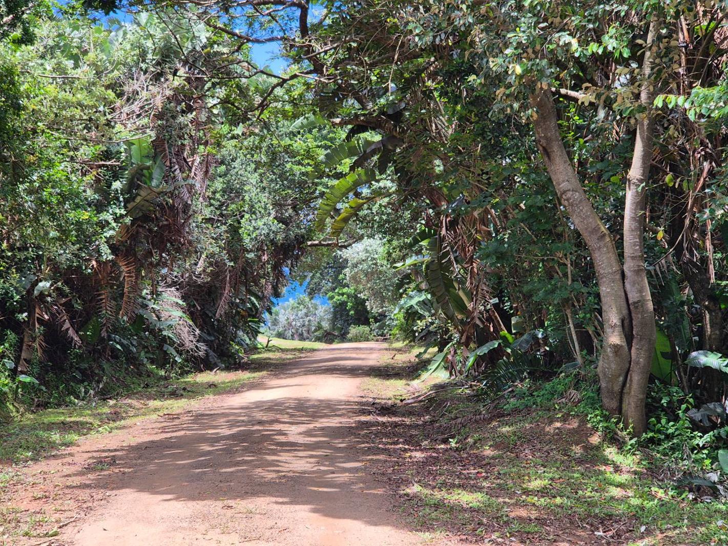 1 417 m² Land available in Leisure Bay