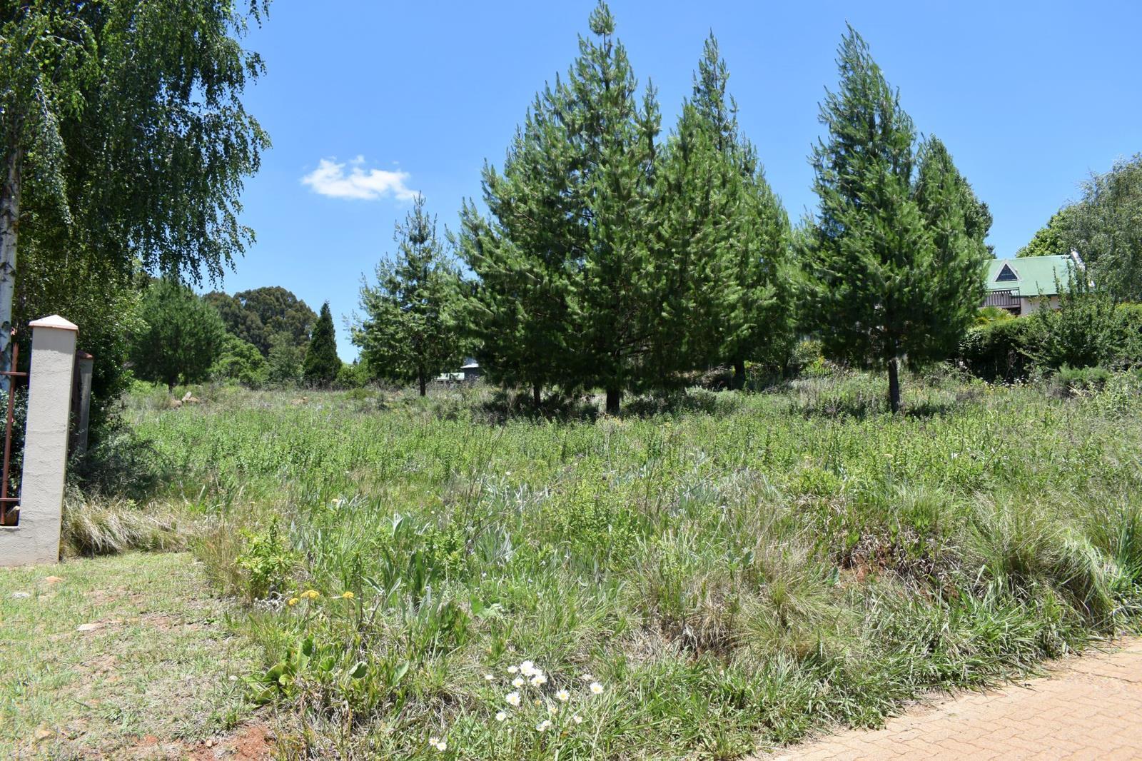 1 000 m² Land available in Dullstroom