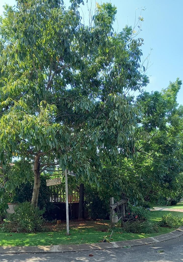 2 Bedroom Garden Cottage in Glen Marais