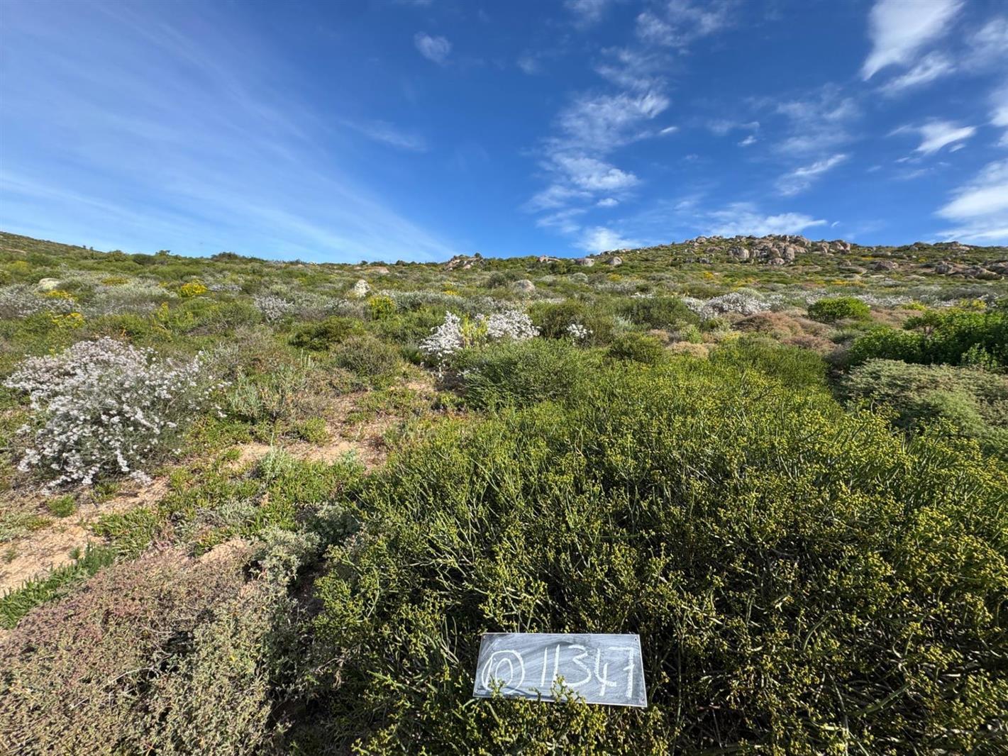 405 m² Land available in St Helena Views