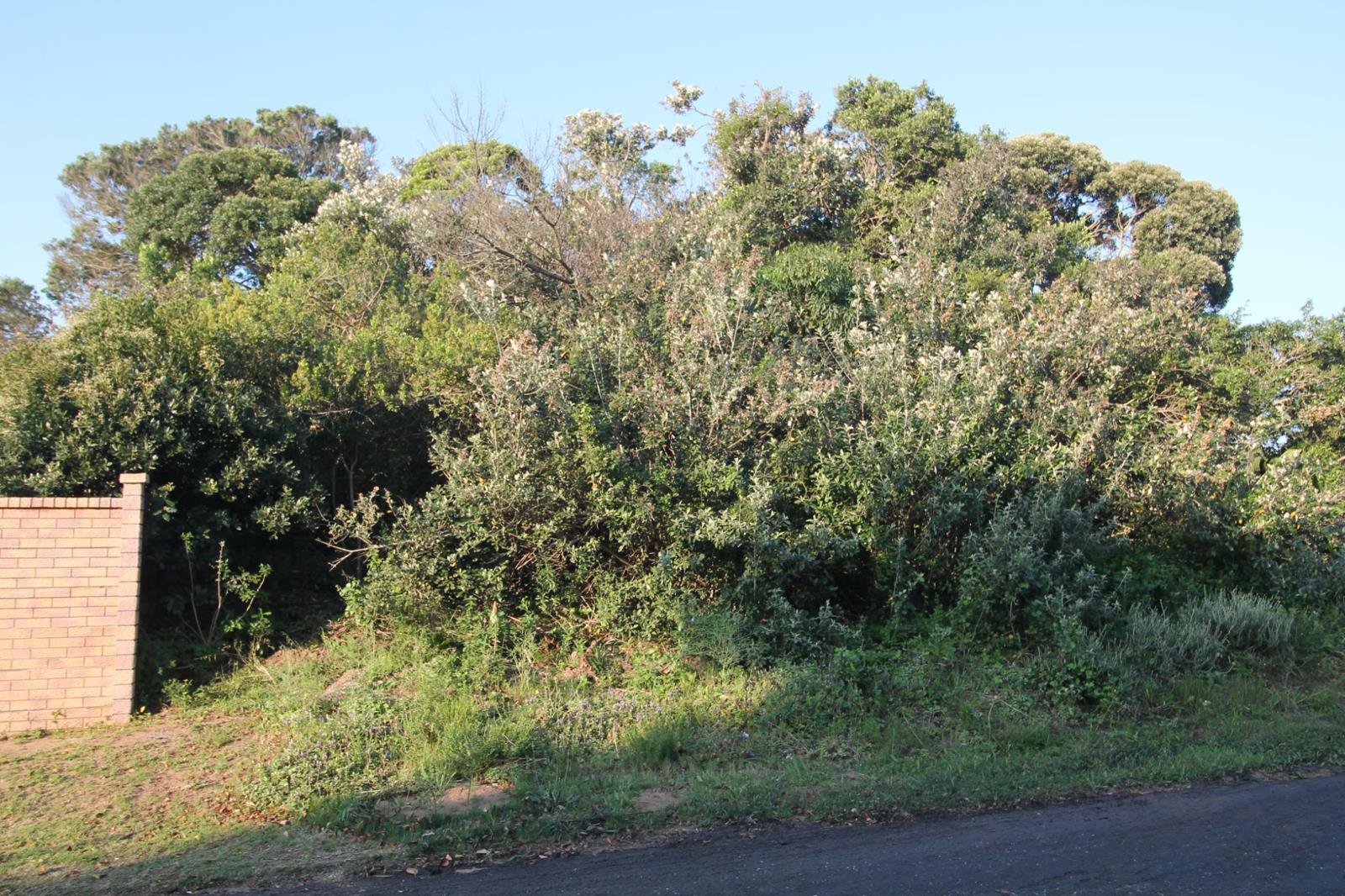 850 m² Land available in Seafield