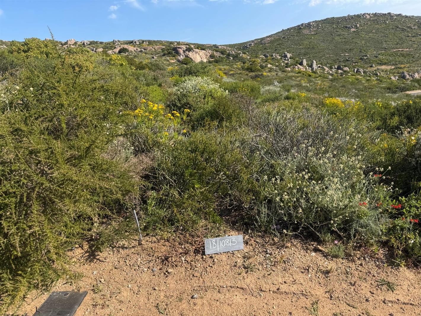 278 m² Land available in St Helena Views