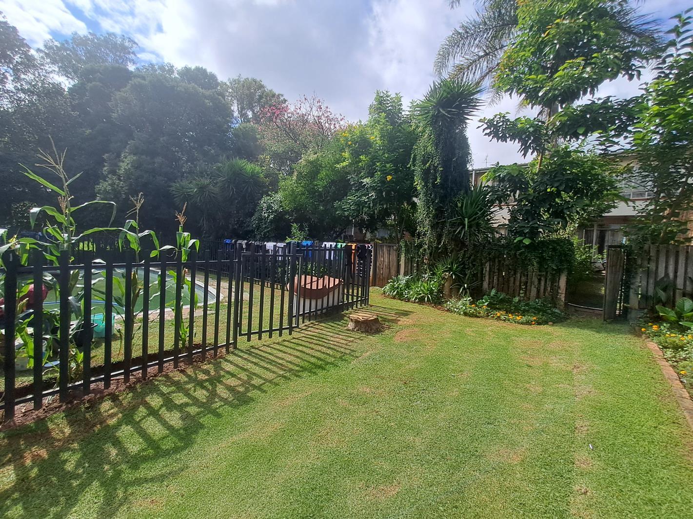 3 Bedroom Apartment in Windsor West
