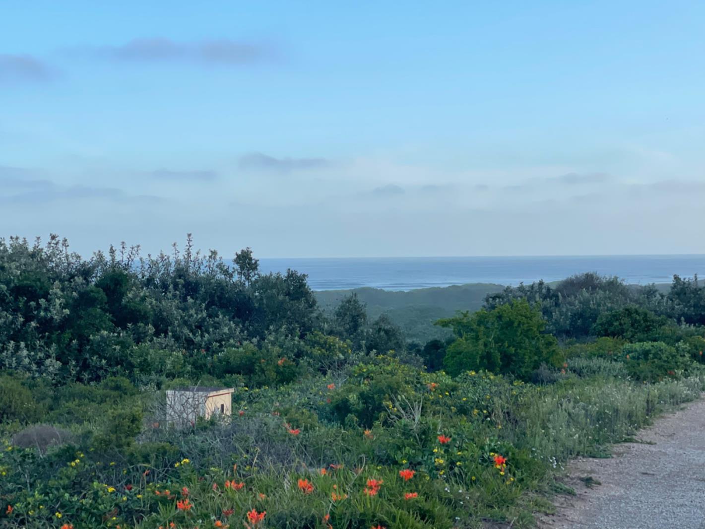 1 187 m² Land available in Cannon Rocks