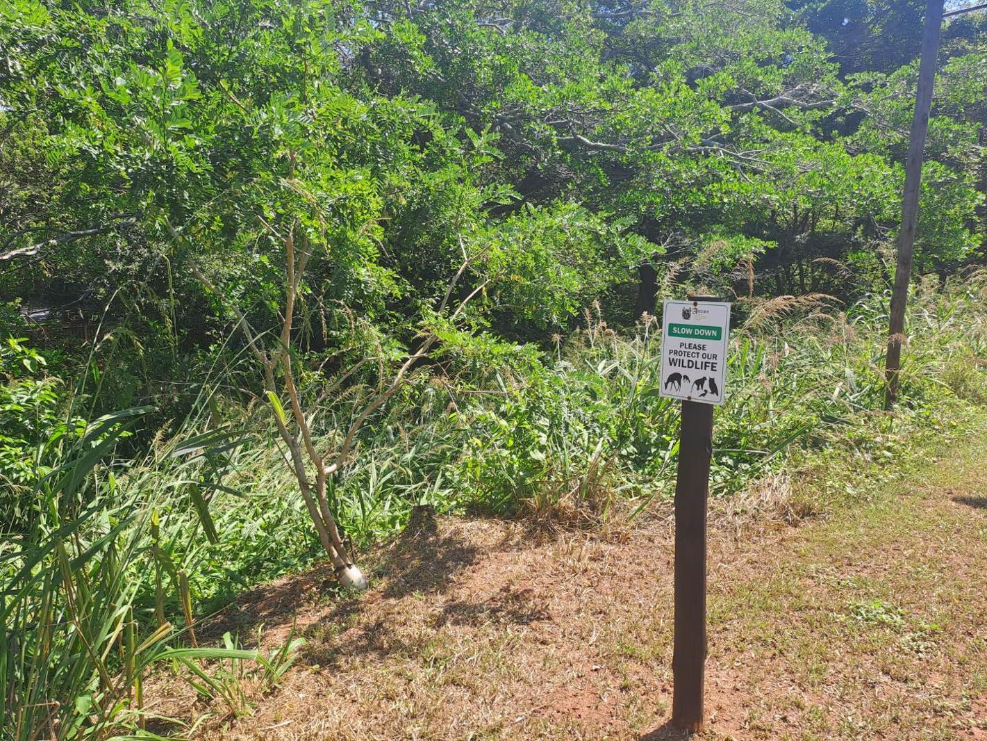 1 282 m² Land available in Kelso