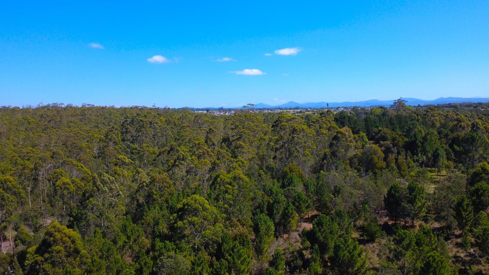 5.6 ha Land available in Plettenberg Bay Central