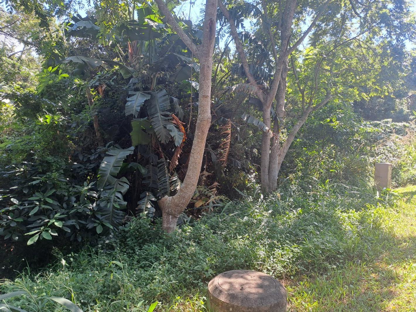 1 169 m² Land available in Kelso
