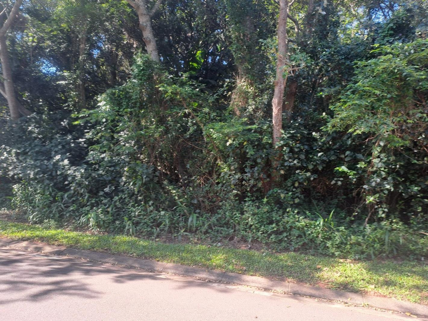 1 110 m² Land available in Kelso