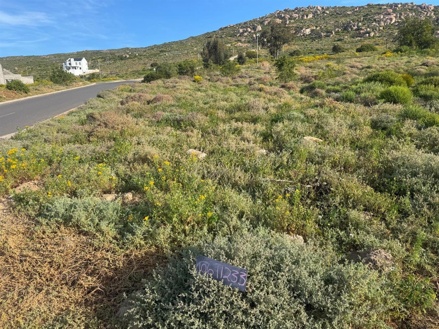 437 m² Land available in St Helena Views