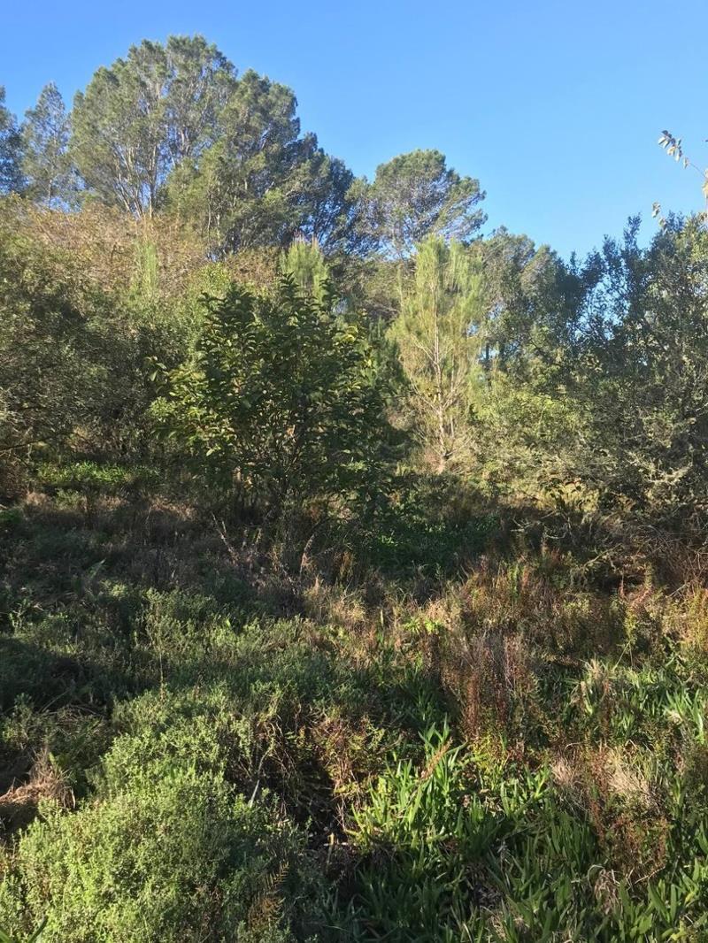 2 067 m² Land available in Bathurst