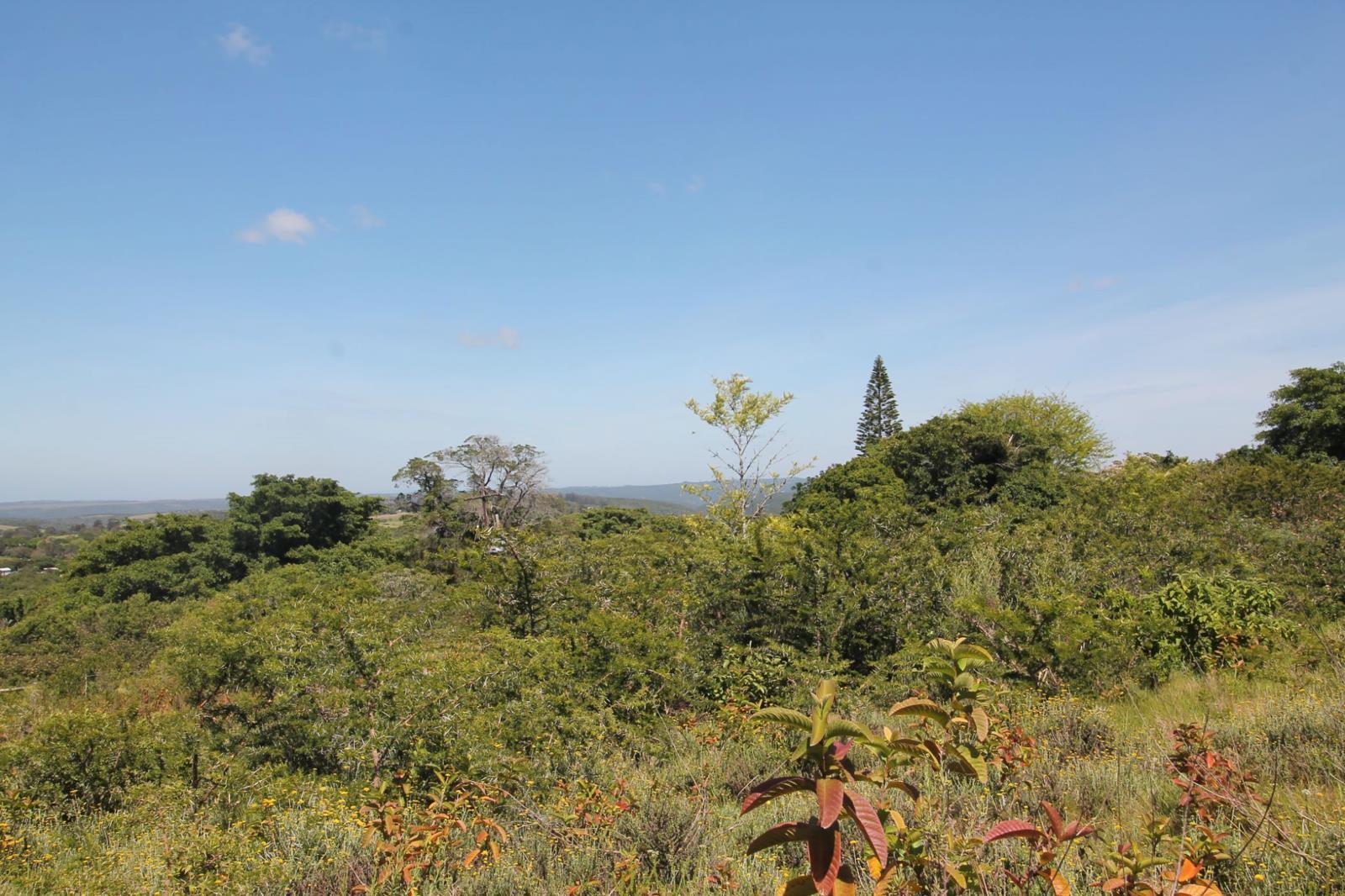 5 403 m² Land available in Bathurst