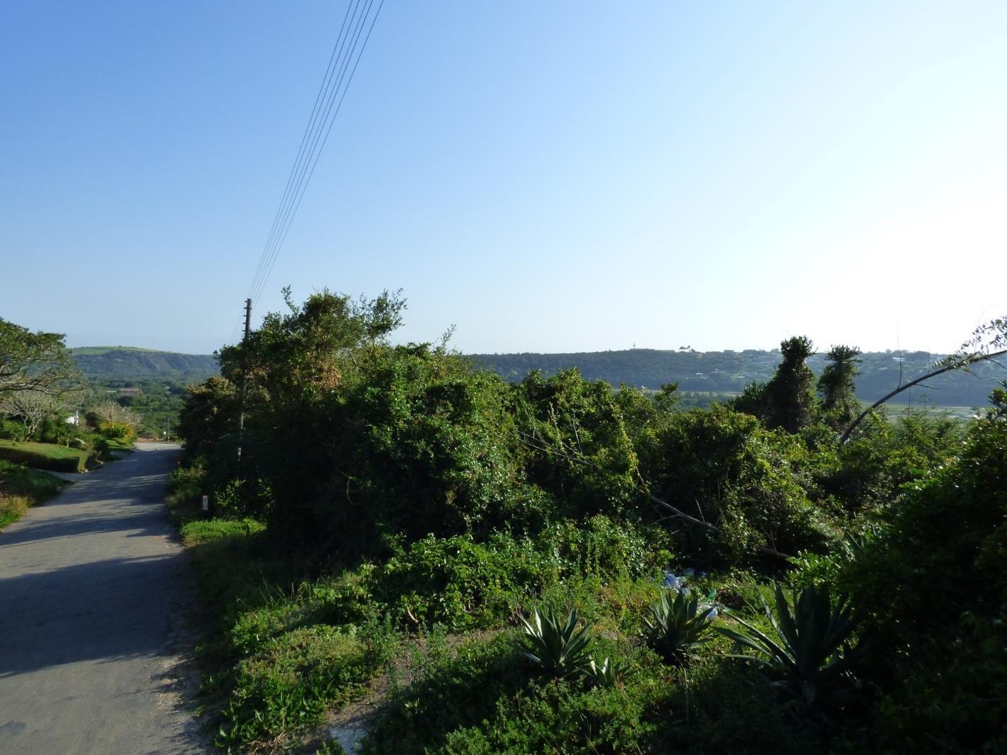 1 110 m² Land available in Port Alfred