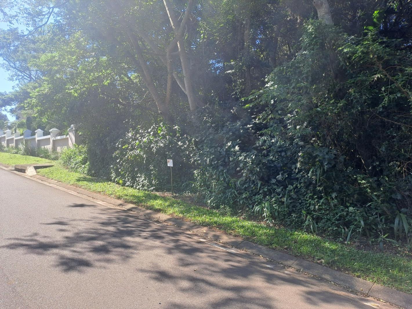 1 113 m² Land available in Kelso