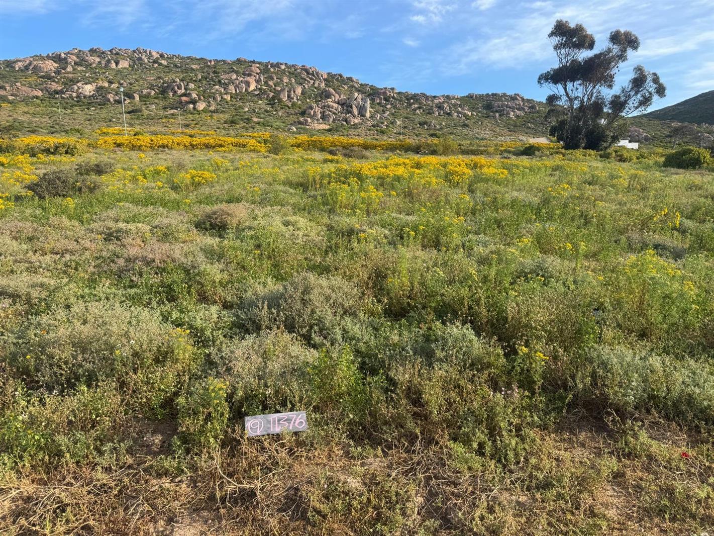 400 m² Land available in St Helena Views