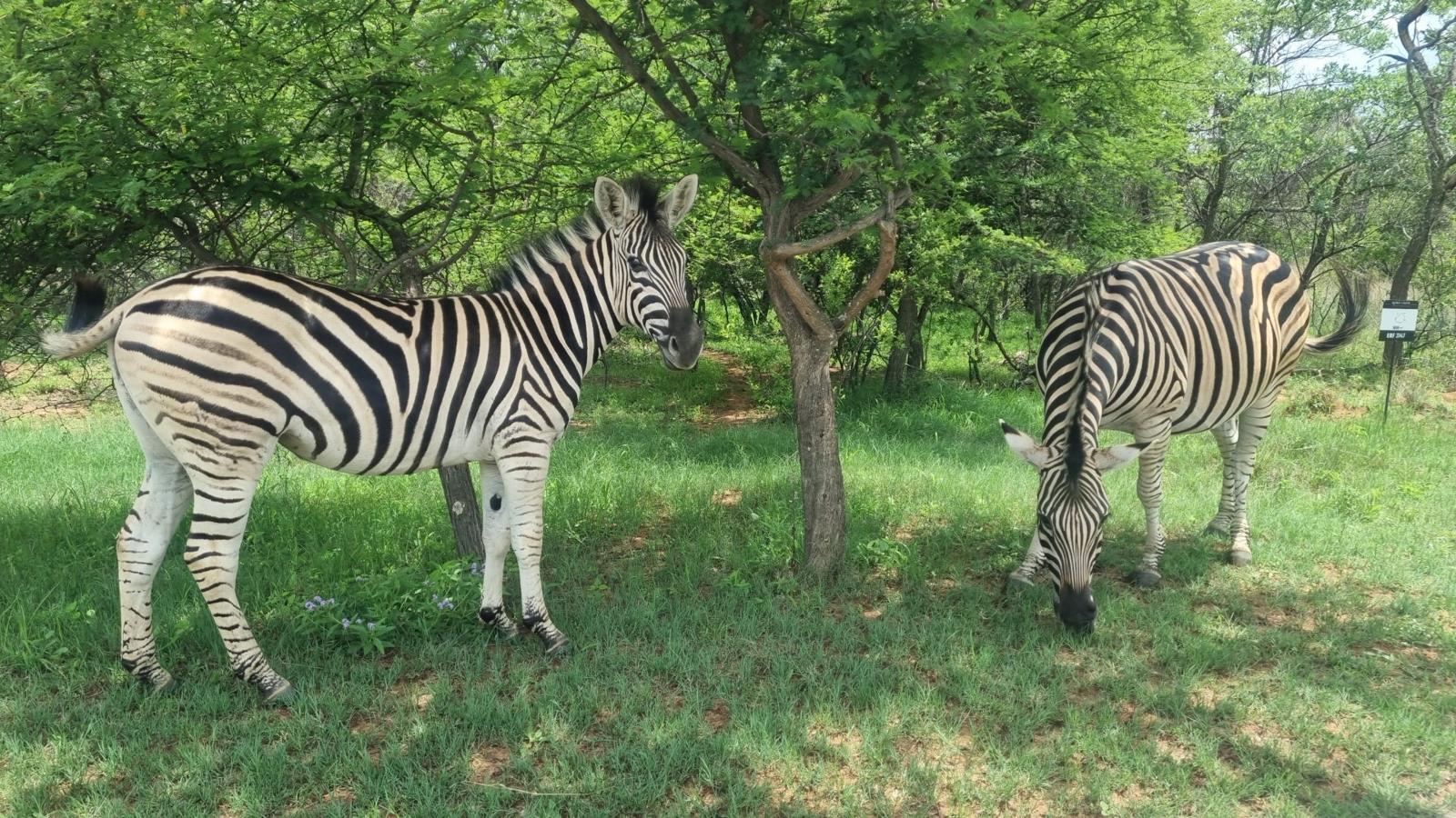 1 084 m² Land available in Koro Creek Golf Estate
