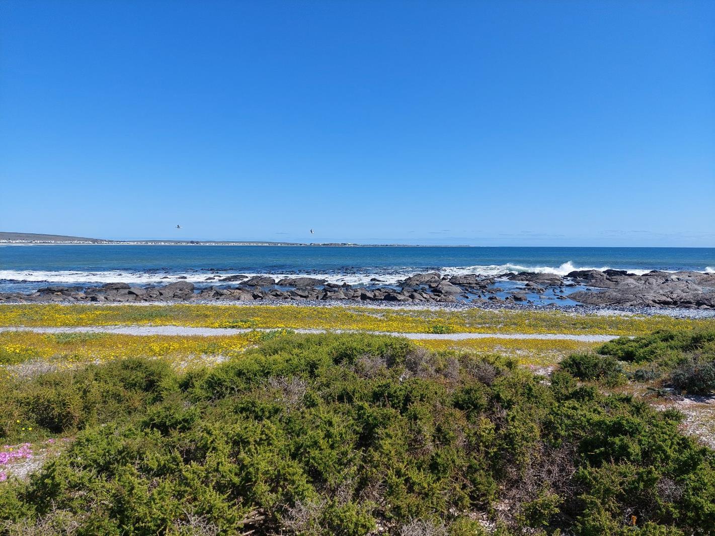 1 111 m² Land available in Shelley Point