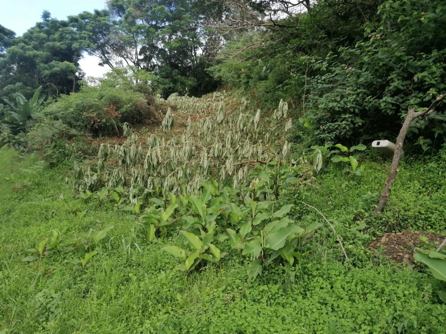 1 471 m² Land available in Reservoir Hills