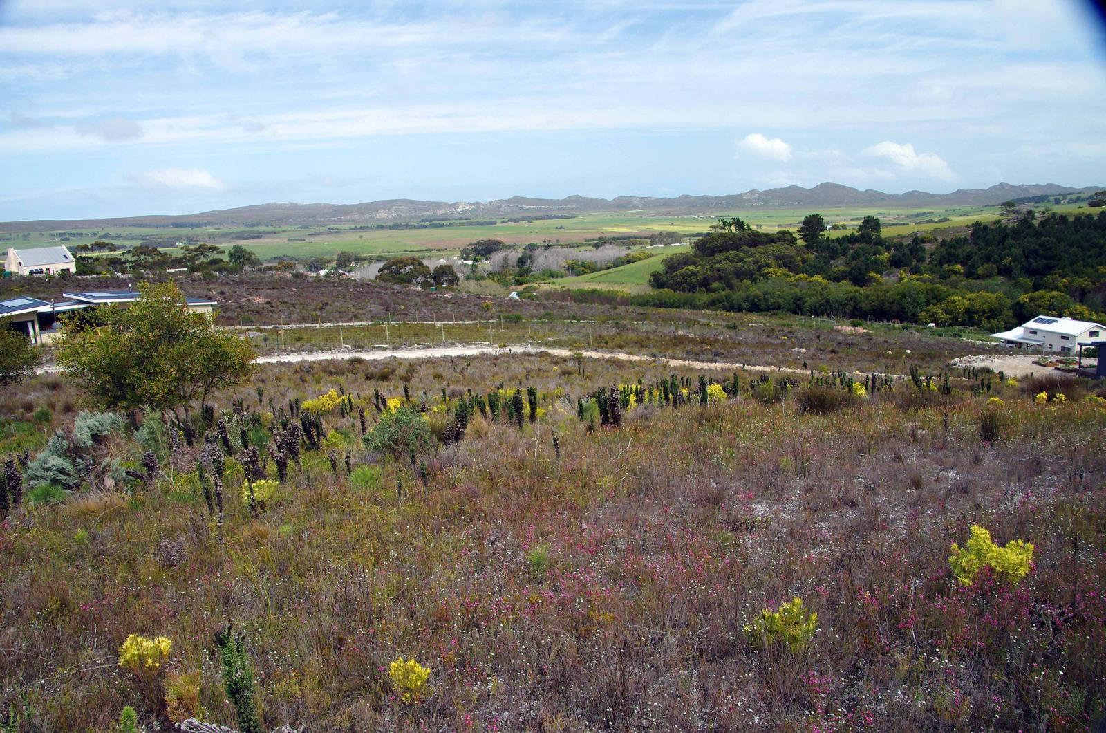 4 000 m² Land available in Baardskeerdersbos