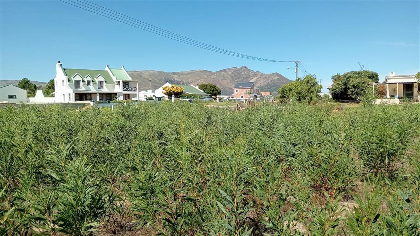 979 m² Land available in Fisherhaven