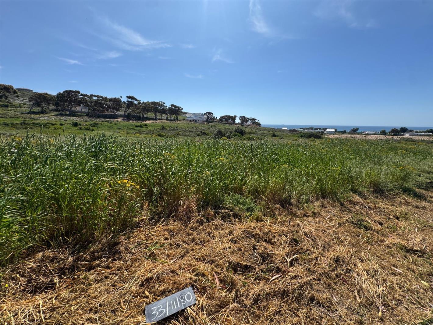 487 m² Land available in St Helena Views
