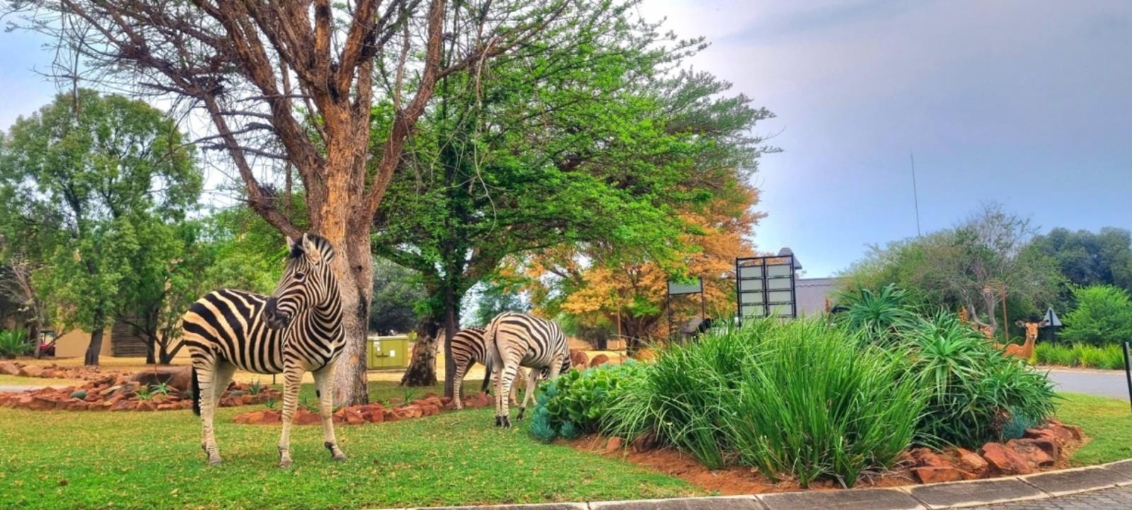 1 691 m² Land available in Koro Creek Golf Estate