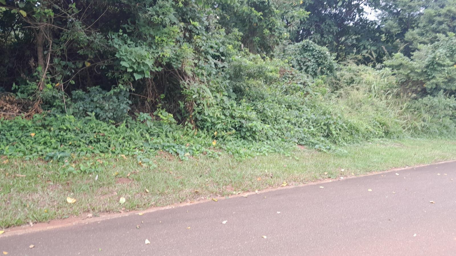 1 165 m² Land available in Kelso