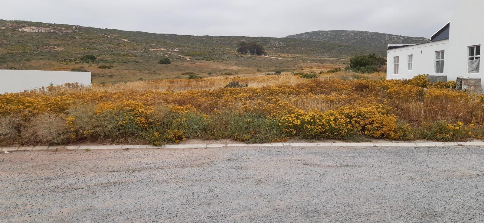 483 m² Land available in Britannica Heights