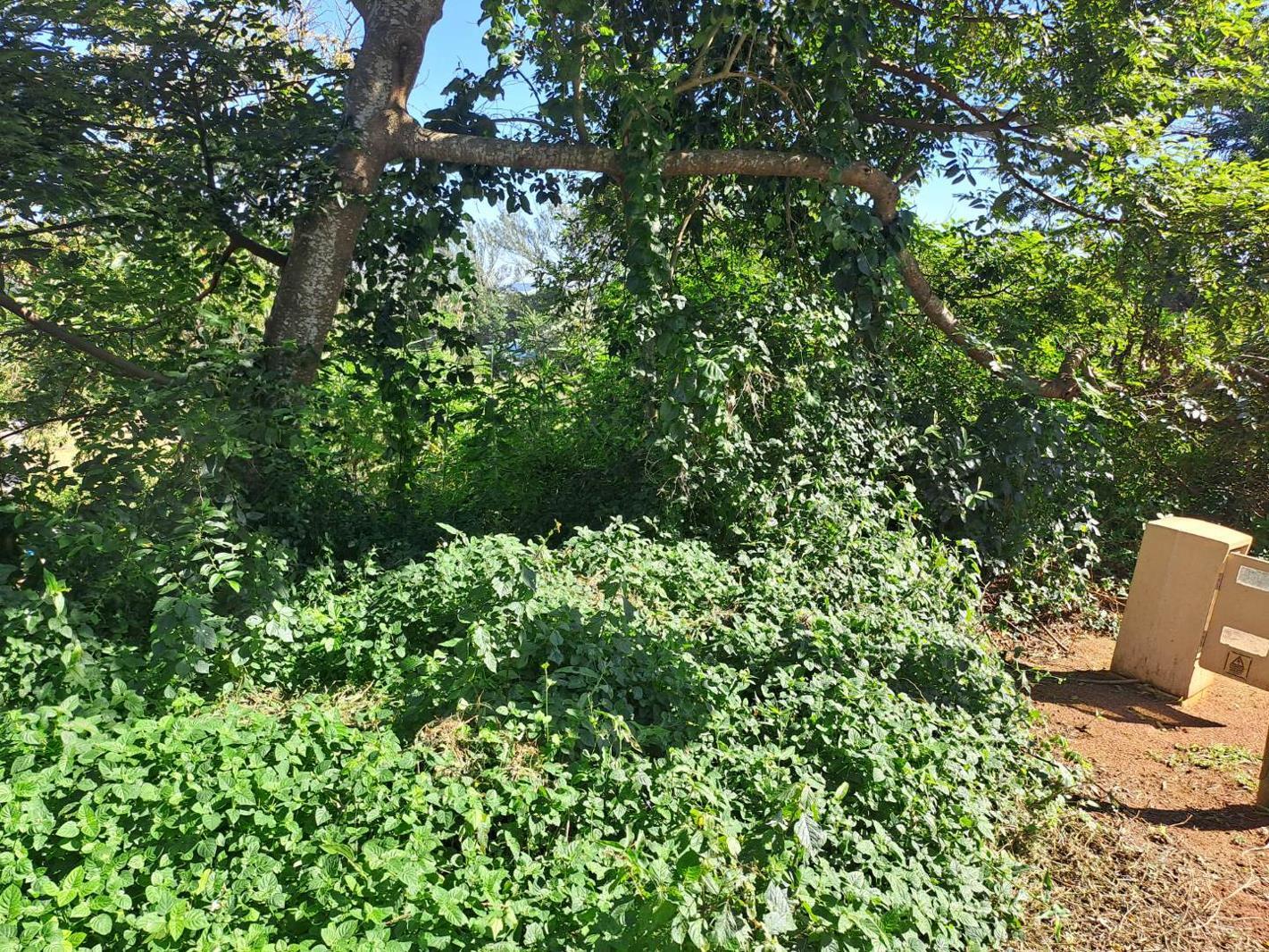 1 155 m² Land available in Kelso