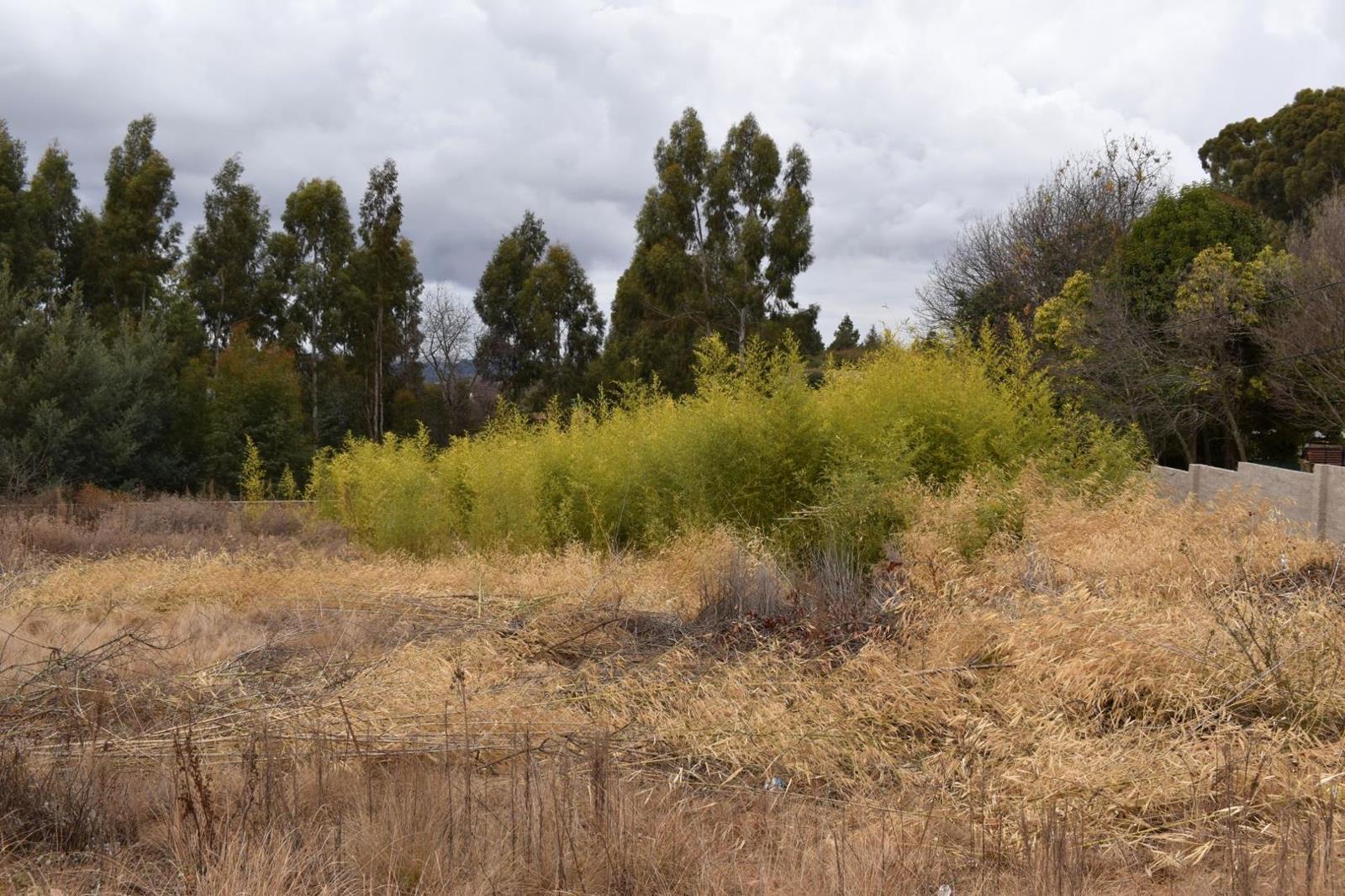 900 m² Land available in Dullstroom