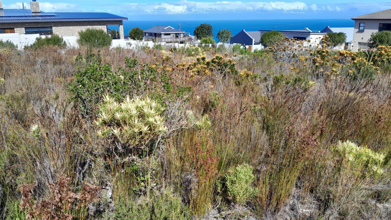 1 027 m² Land available in Dana Bay