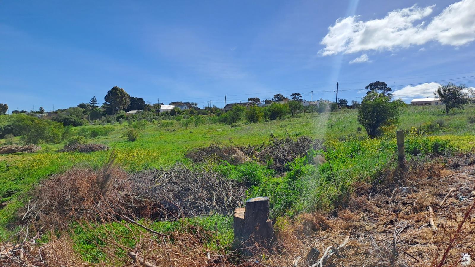 1 291 m² Land available in Napier