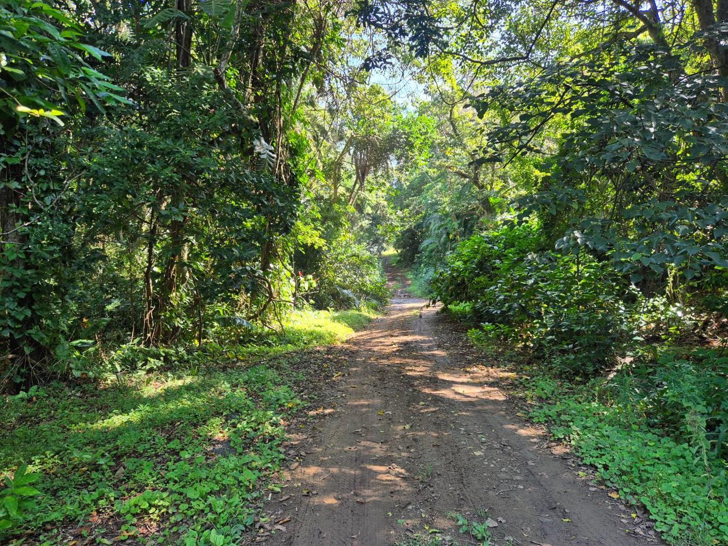 1 205 m² Land available in Leisure Bay