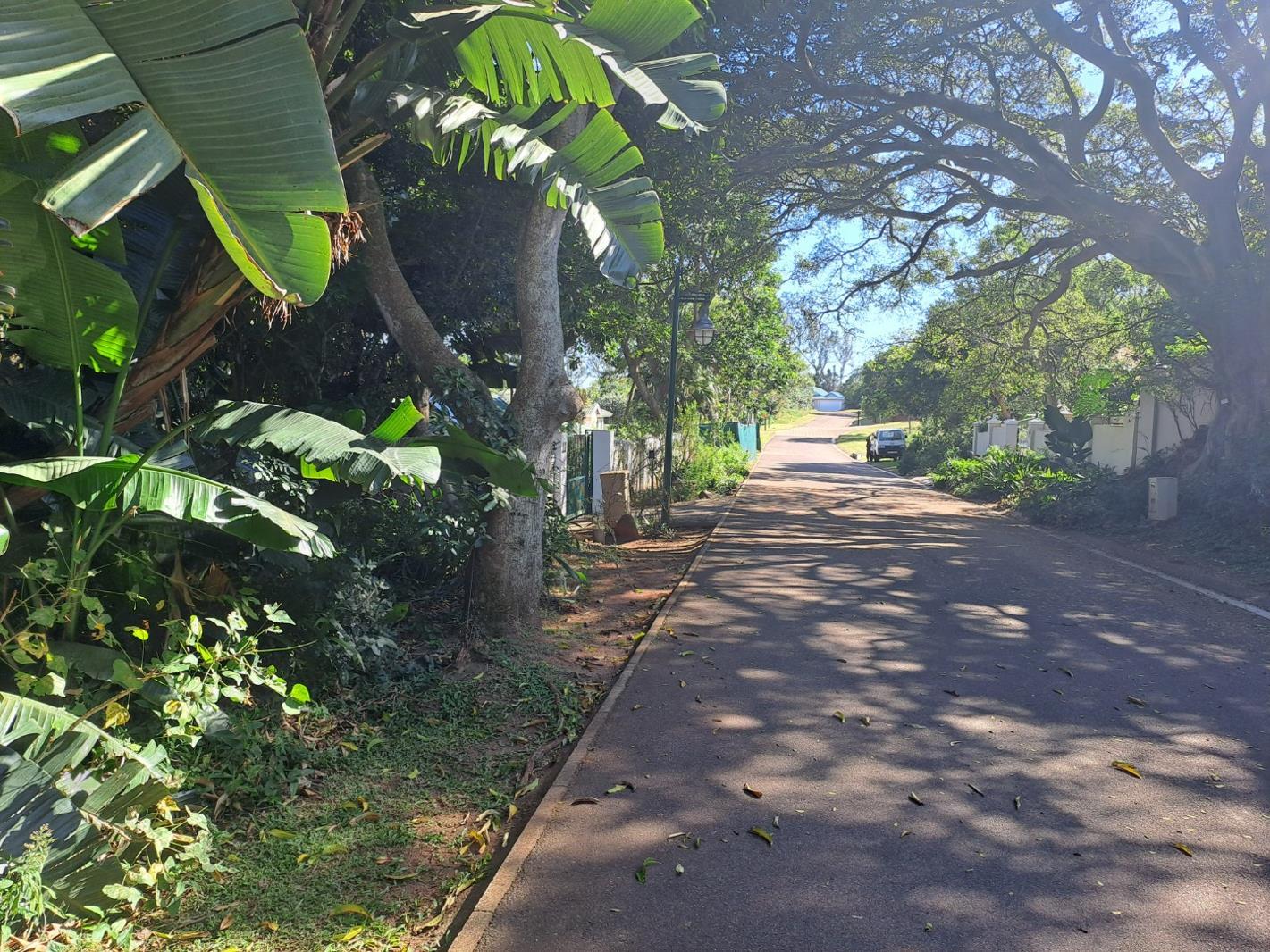 1 120 m² Land available in Kelso