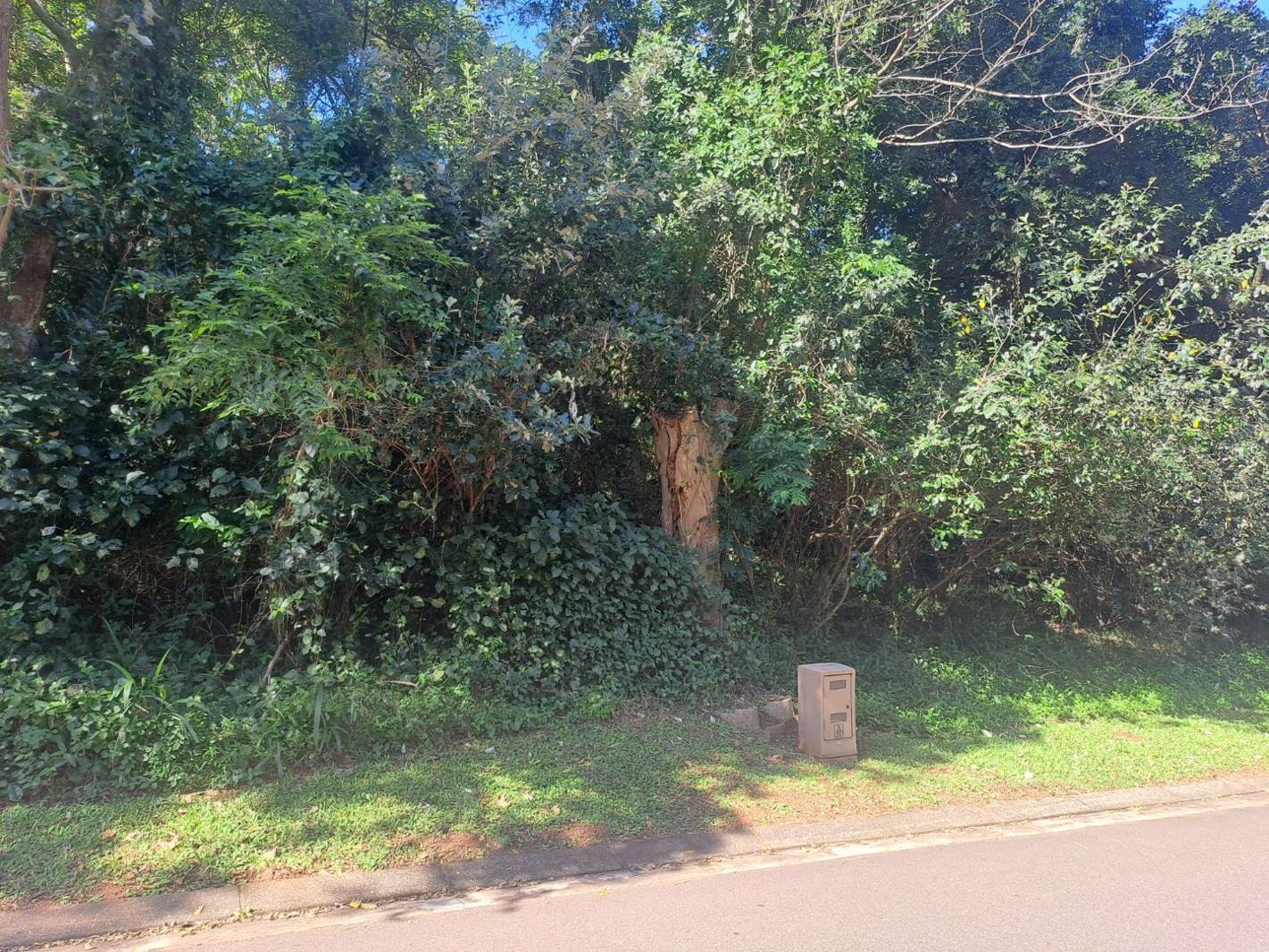 1 113 m² Land available in Kelso