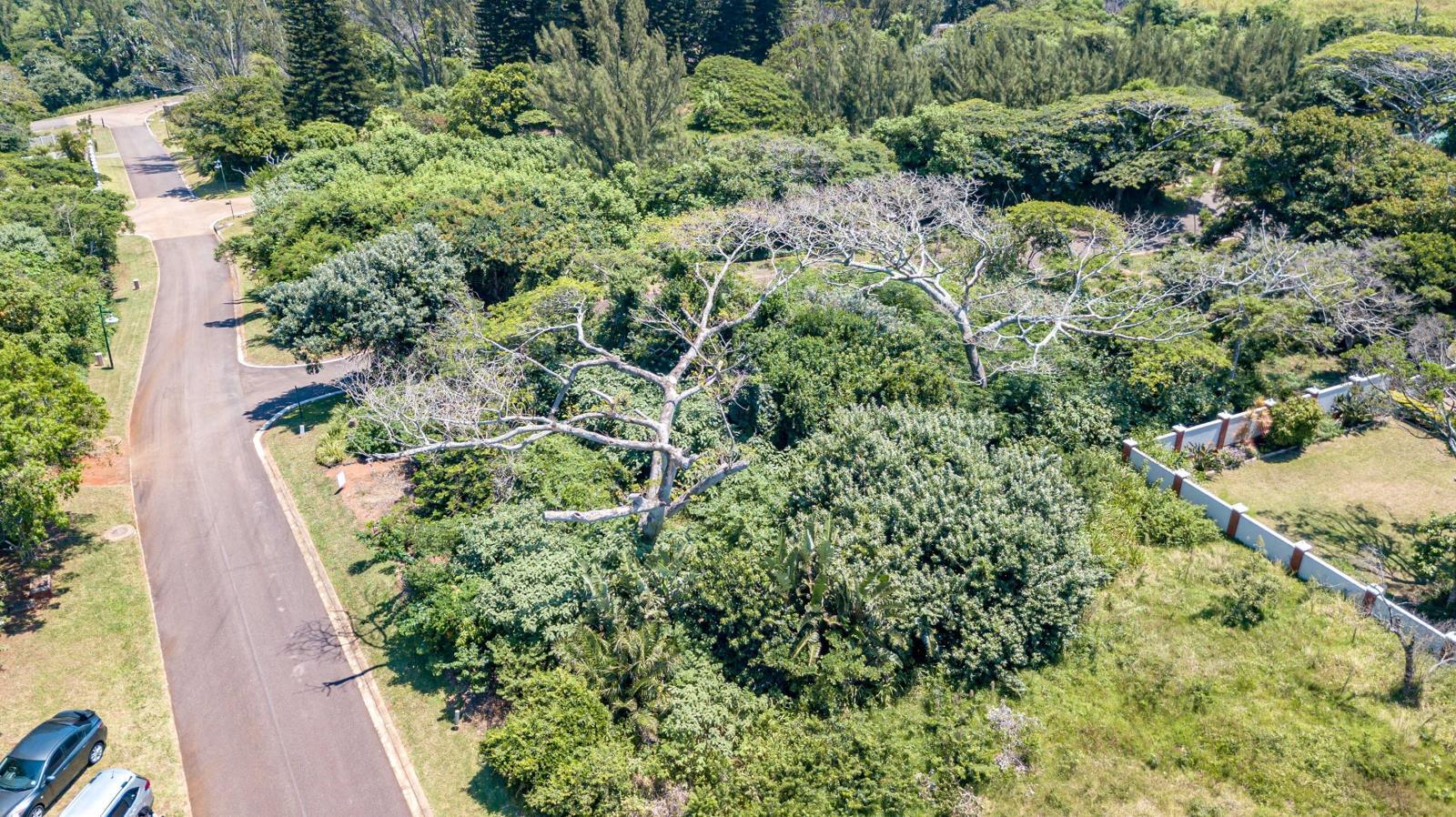 1 101 m² Land available in Kelso