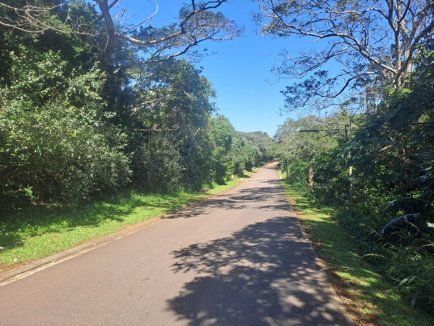 1 110 m² Land available in Kelso