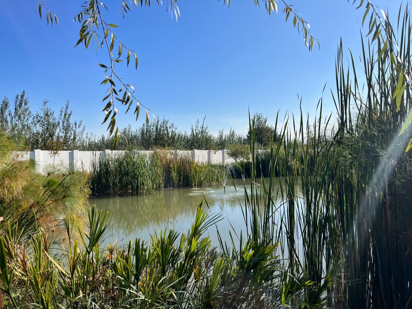 1 Bedroom Apartment in Witfield